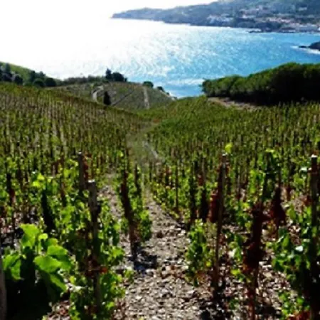 Splendido Studio, Vista Mare, A 5mn Dalla - Casa Artevida Apartment Roses